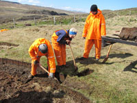 Cutting thicker, wedge shaped turf called 'Klambra'