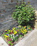 The sunken beds are a mass of glorious colour