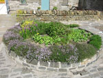 The raised herb bed is a blaze of colour and aromas