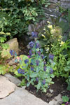 The variety of thriving species is testament to the hard work of our head gardener, Irene Wares
