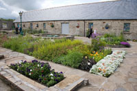 The vegetable patch and coastal meadow at left centre