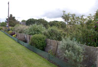 A mature display borders the traditional Caithness flagstone wall boundary