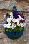 Very patriotic - just in time for the Olympic Games!