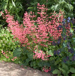 Another splash of vibrant colour
