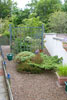 The entrance to Rosemary Macleod's garden