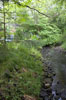 Stannergill Burn provides a natural boundary at the bottom of the garden