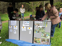 The 'olympic' challenge involved learning about pond life through solving a puzzle, and decorating their own 'ring' of pine