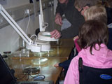 Getting a close-up view of some tiny peat dwellers