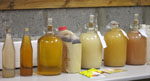 Demijohns containing such delicacies as rhubarb, potato and pepper, elderberry and carrot. Finished bottles of rhubarb are on the left