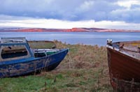 Those who enjoyed a stroll round the 'harbour loop' were treated to a stunning view of the old red sandstone cliffs of Dunnet Head lit up by